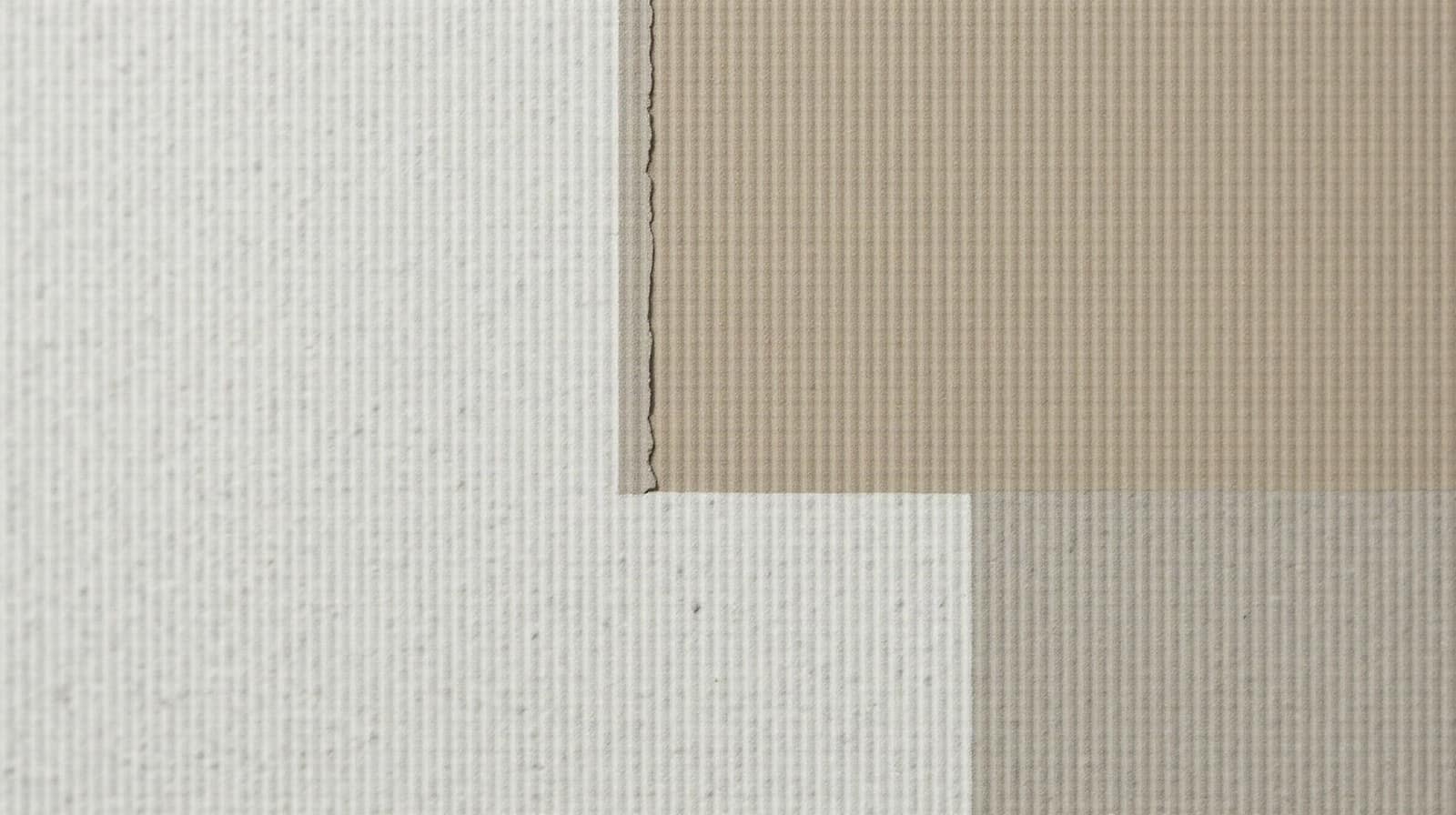 Détail d'une couche d'enduit minéral appliquée à la spatule sur une portion de mur, texture visible